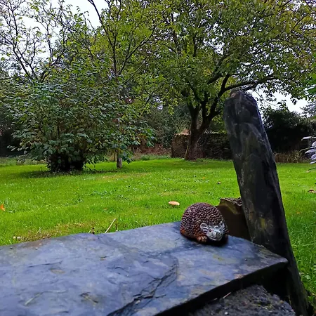 Апартаменты La Butte De L'esperance Renaze